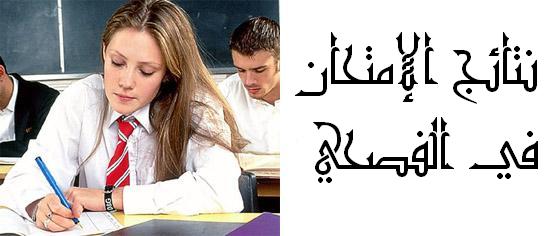 Результаты теста "Арабский литературный язык"